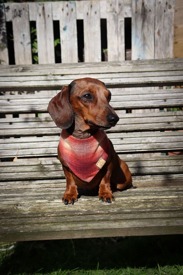 Autumn plaid - H&G Autumn Collection Bandana