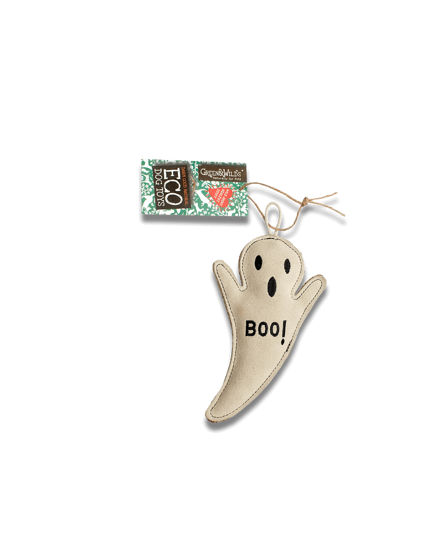 Boo Hoo Ghost- Green and Wilds Halloween Toy