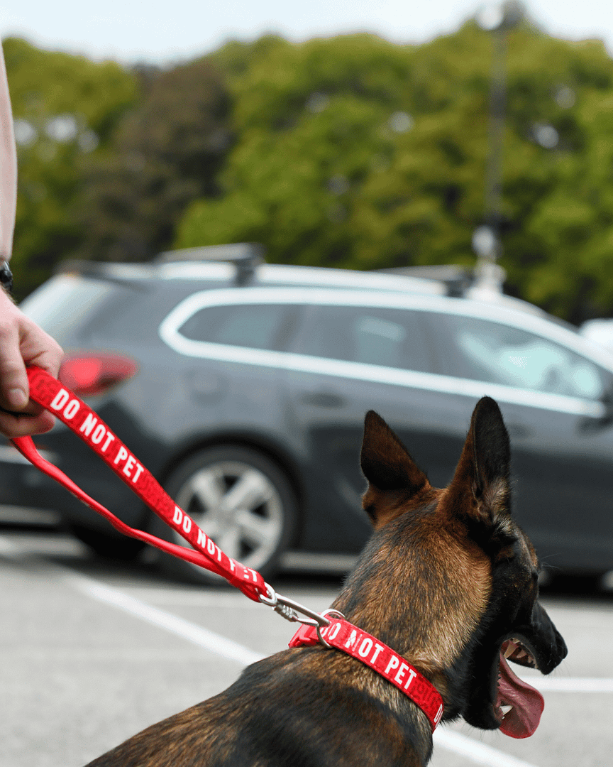 Twiggy Tags Awareness Multi-Way Training Lead- Do Not Pet