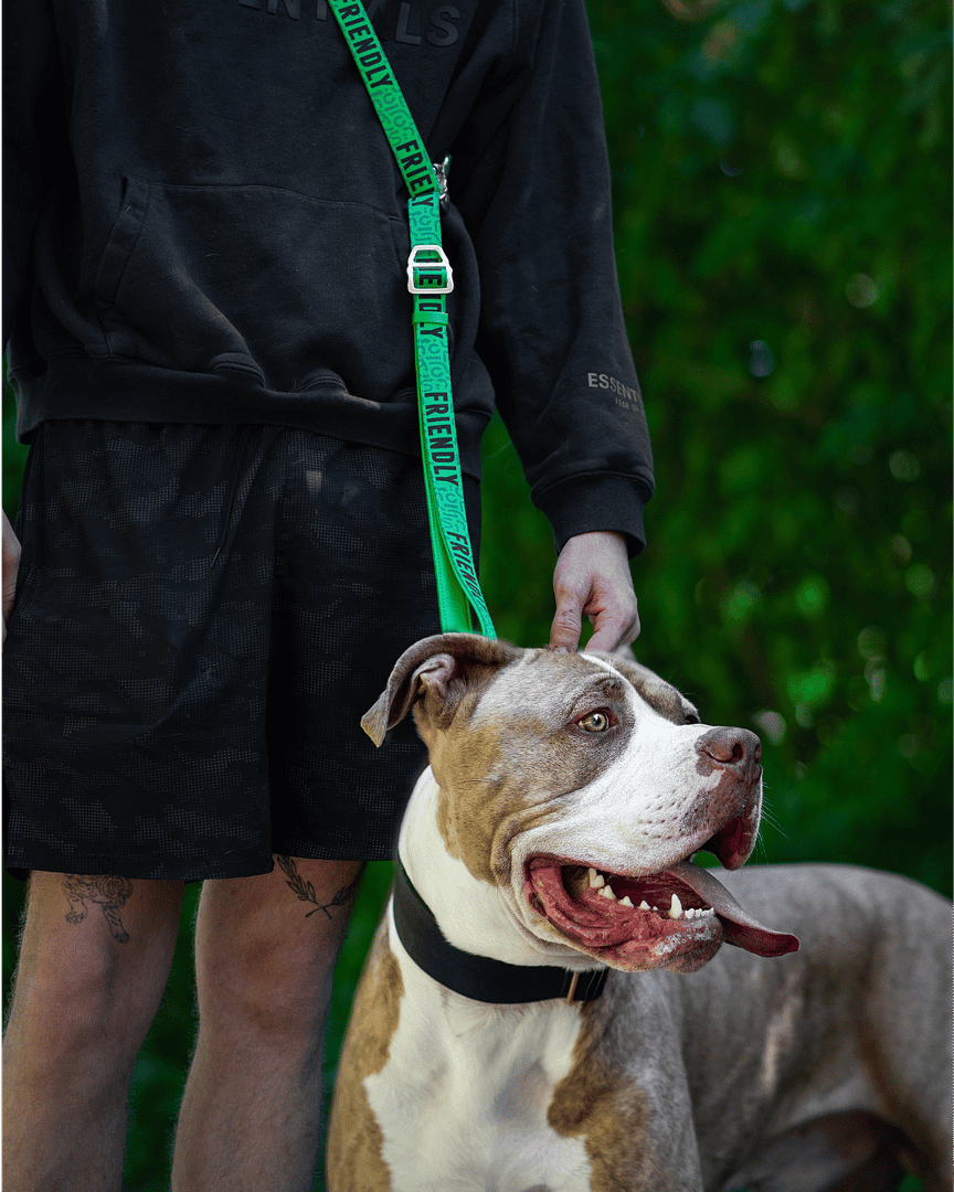 Twiggy Tags Awareness Multi-Way Training Lead- Friendly