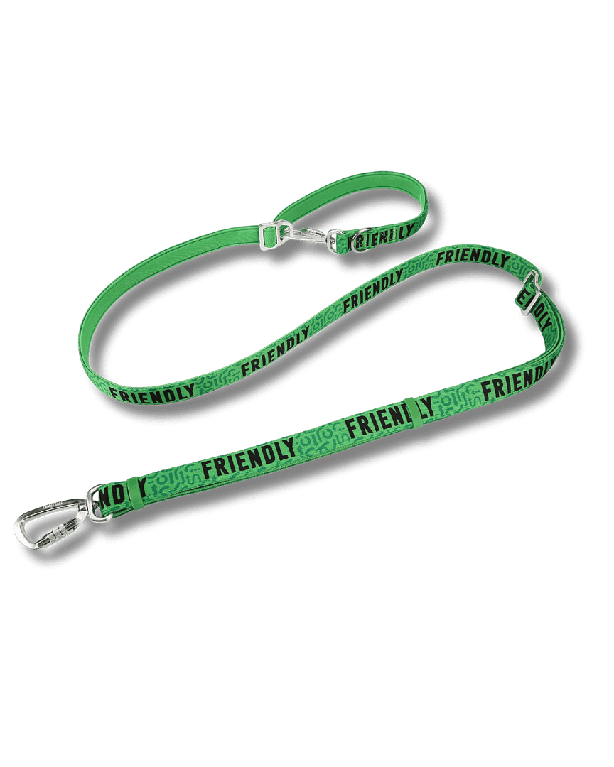 Twiggy Tags Awareness Multi-Way Training Lead- Friendly - Image 2