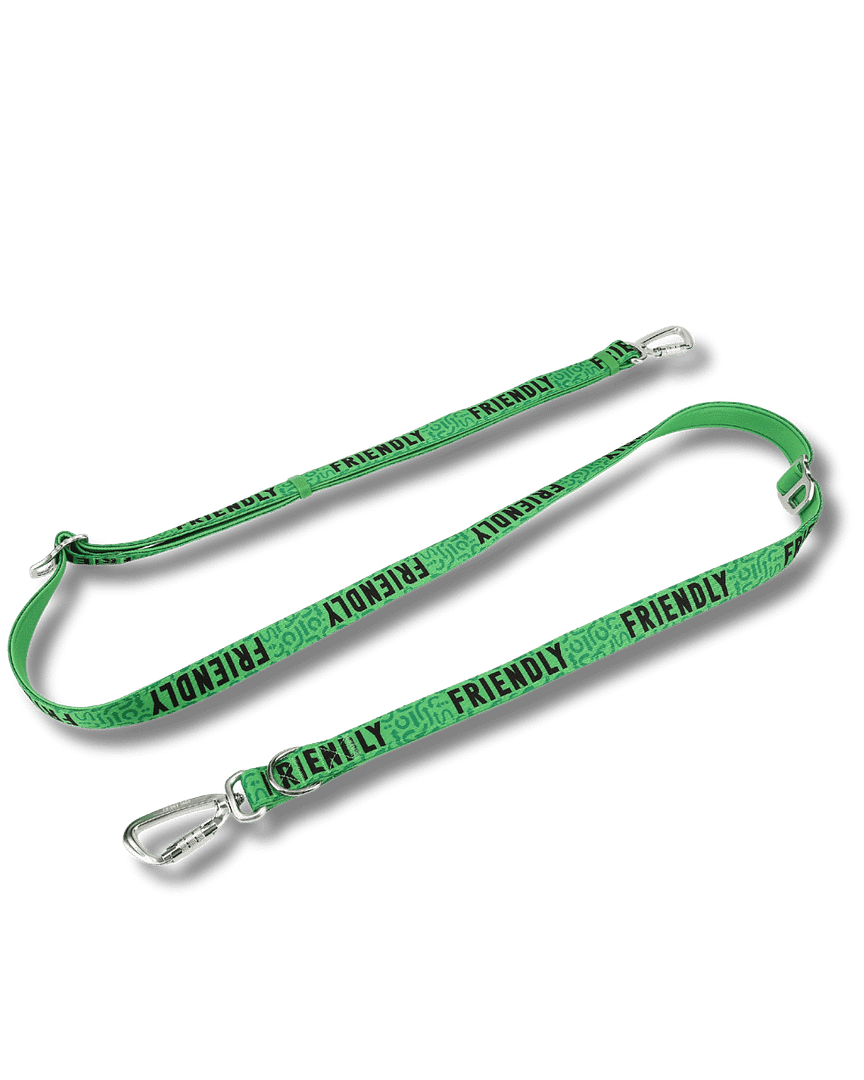 Twiggy Tags Awareness Multi-Way Training Lead- Friendly - Image 3