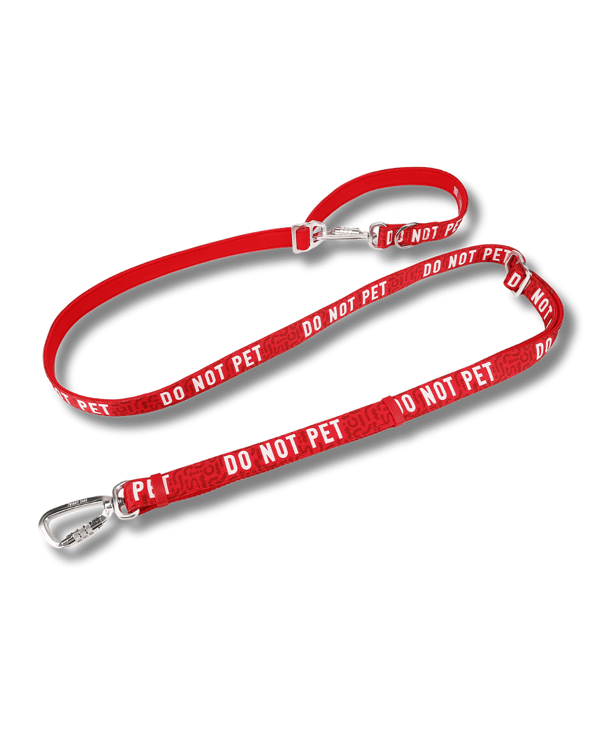 Twiggy Tags Awareness Multi-Way Training Lead- Do Not Pet - Image 4
