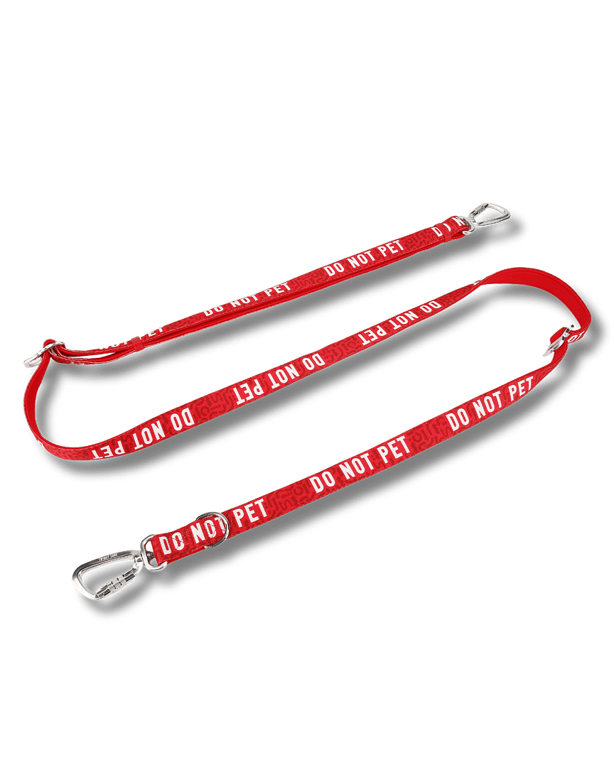 Twiggy Tags Awareness Multi-Way Training Lead- Do Not Pet - Image 3